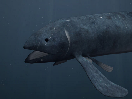 The Leedsichthys Project